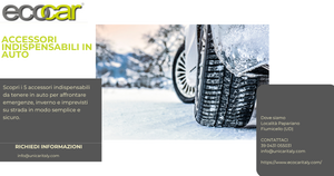 AUTO WINTER ACCESSORIES