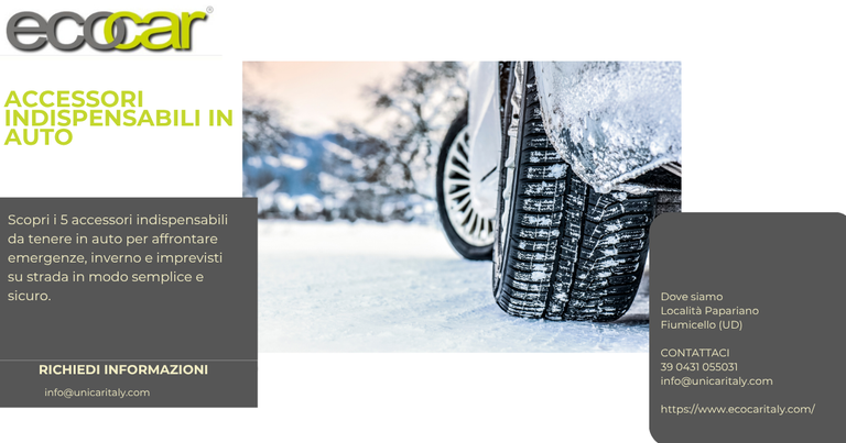 AUTO WINTER ACCESSORIES